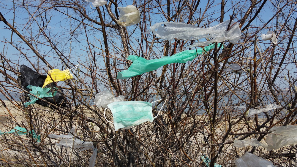 Plastic bags and facemasks stuck in a tree showing plastic bag trash